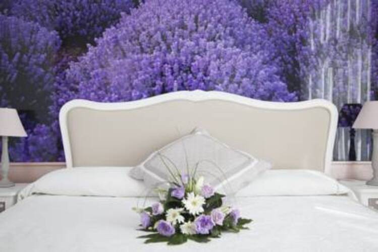 Vilana Hotel — фото 2