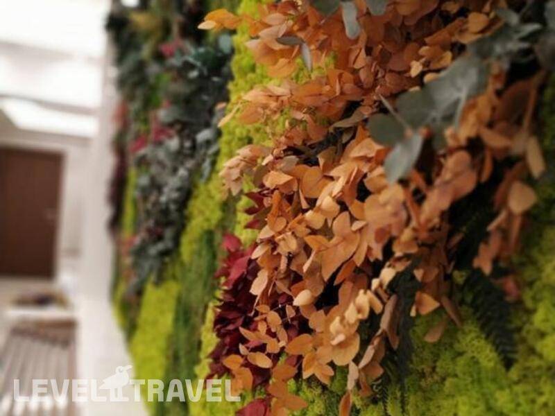 Фотография Ismena Spa Hotel