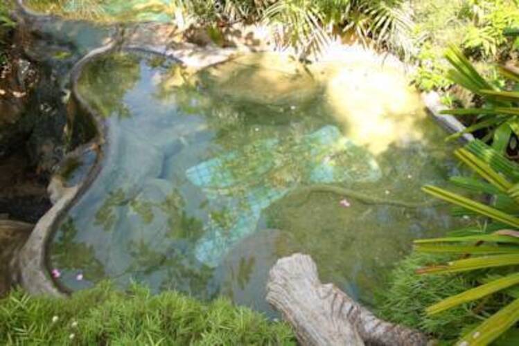 Wareerak Hot Spring Retreat