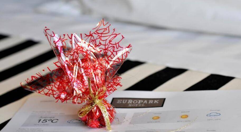 Europark Hotel — фото 9