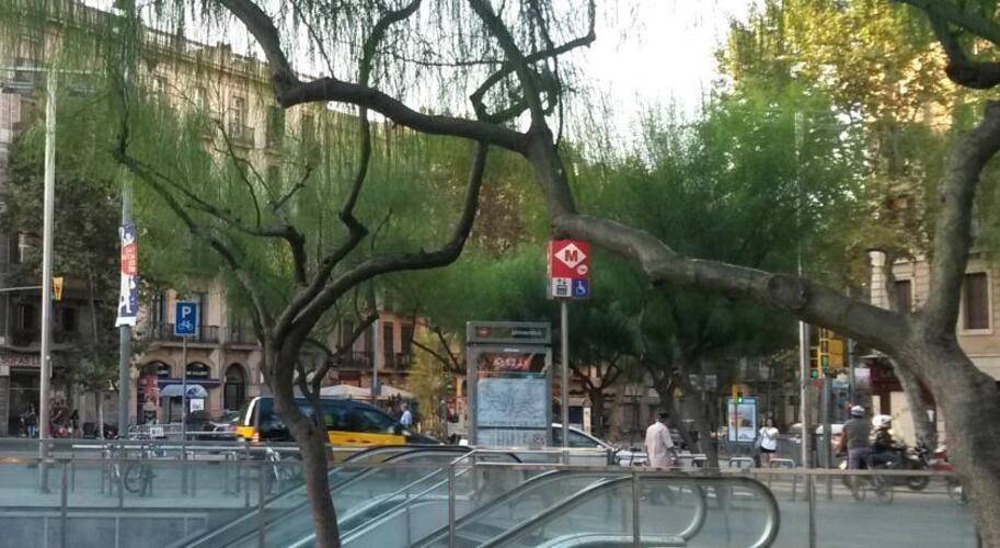 H10 Metropolitan — фото 46