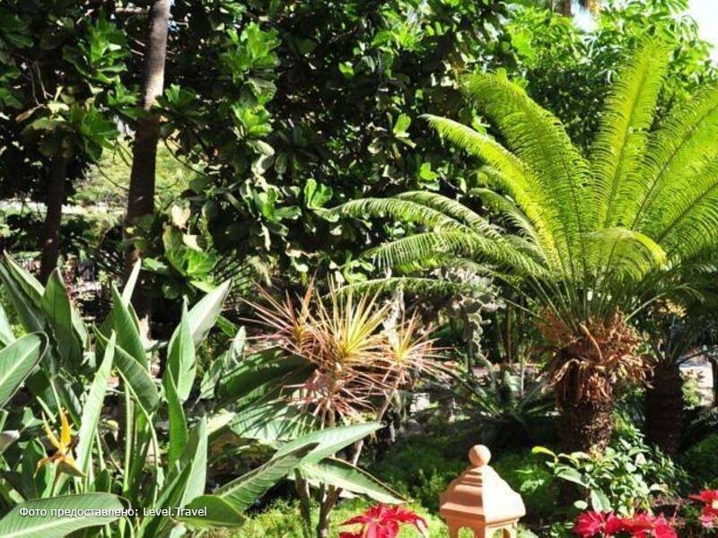 Фотография Hotel Parque Tropical