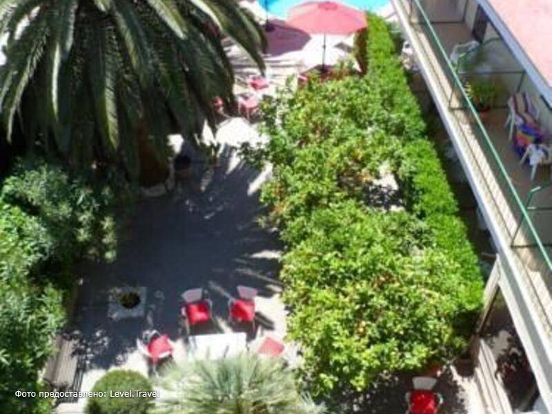 Фотография Hostal Celo Garden