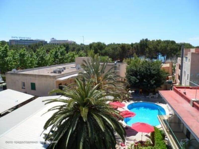 Фотография Hostal Celo Garden