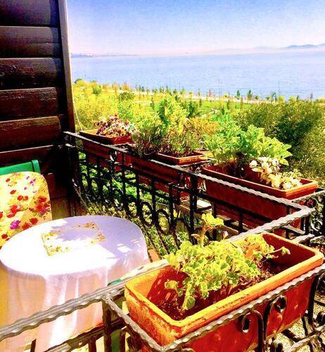 Deniz Houses
