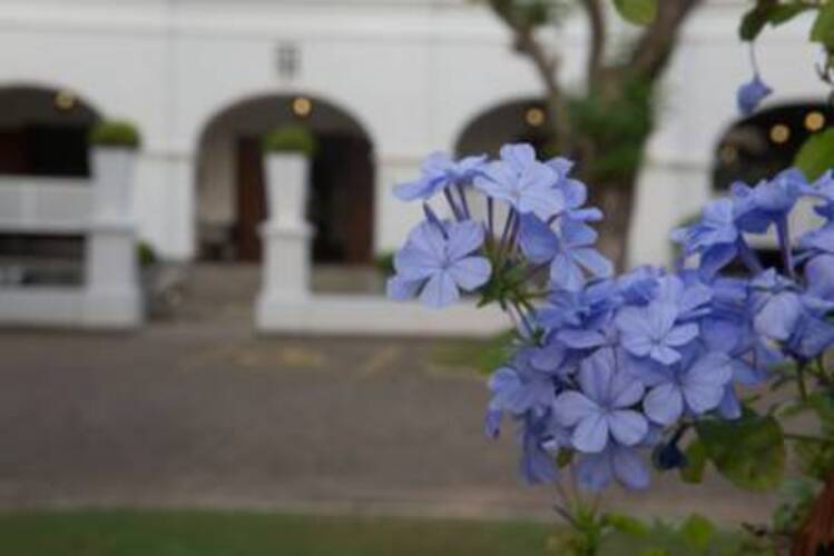 Tamarind Hill Hotel
