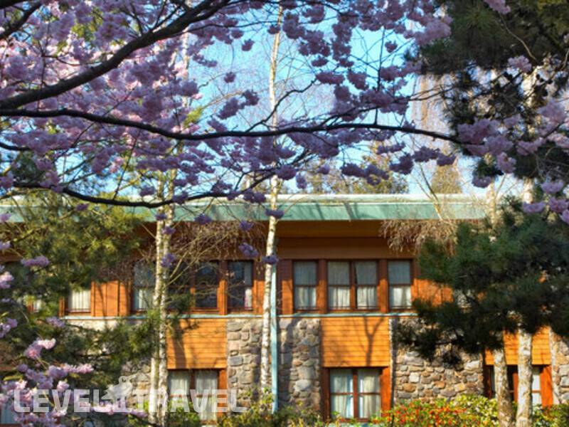Фотография Disney‘S Sequoia Lodge Hotel