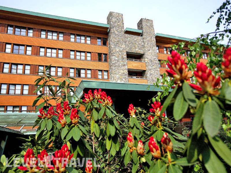 Фотография Disney‘S Sequoia Lodge Hotel