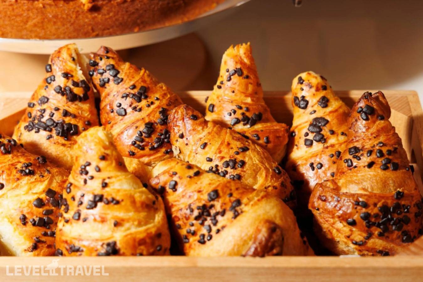 фотографии отеля Camelia Hotel в Италия(Рим) - фото №22