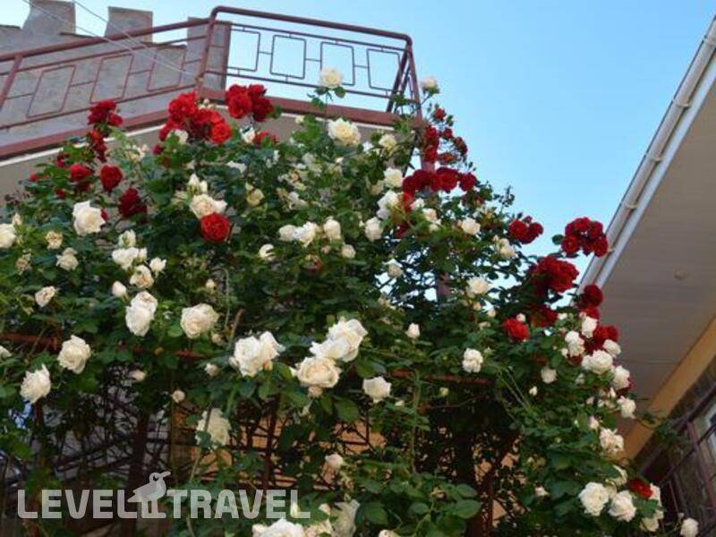 Фотография Fortress Kafa Hotel