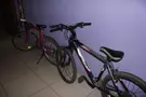 Добрый Кот