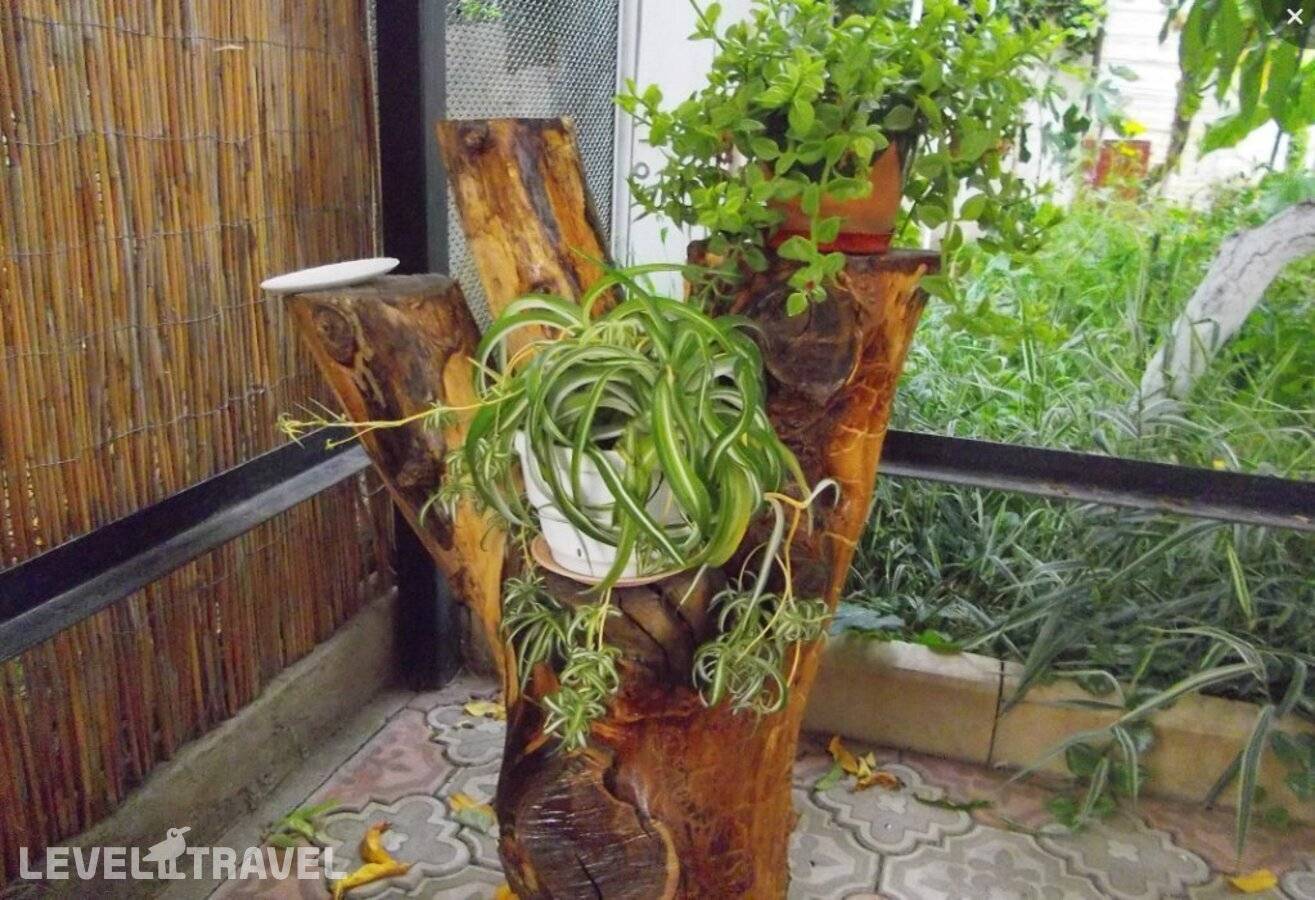 Изображение отеля 2