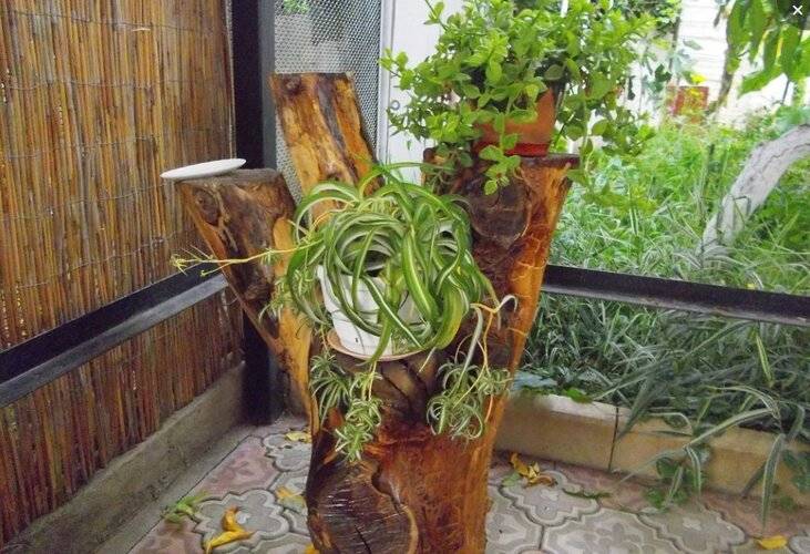 Мини-Отель Бамбуковый Дворик