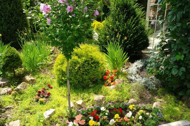 Мини-Отель Крокус Spa