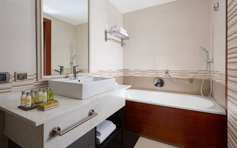 Doubletree By Hilton Novosibirsk