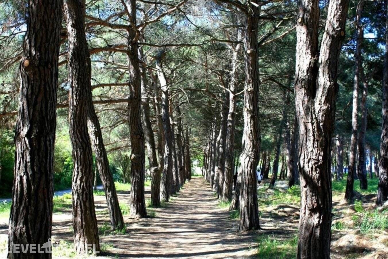фотографии отеля Отель Голубая Бухта На Борисовской в Россия(Геленджик) - фото №22