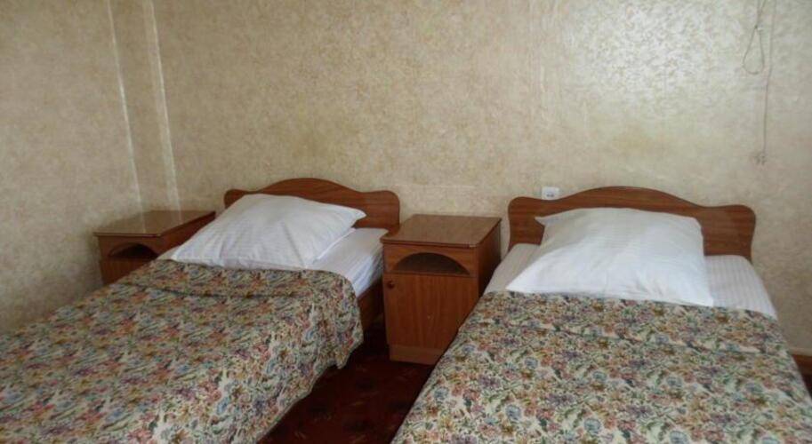 Чайка