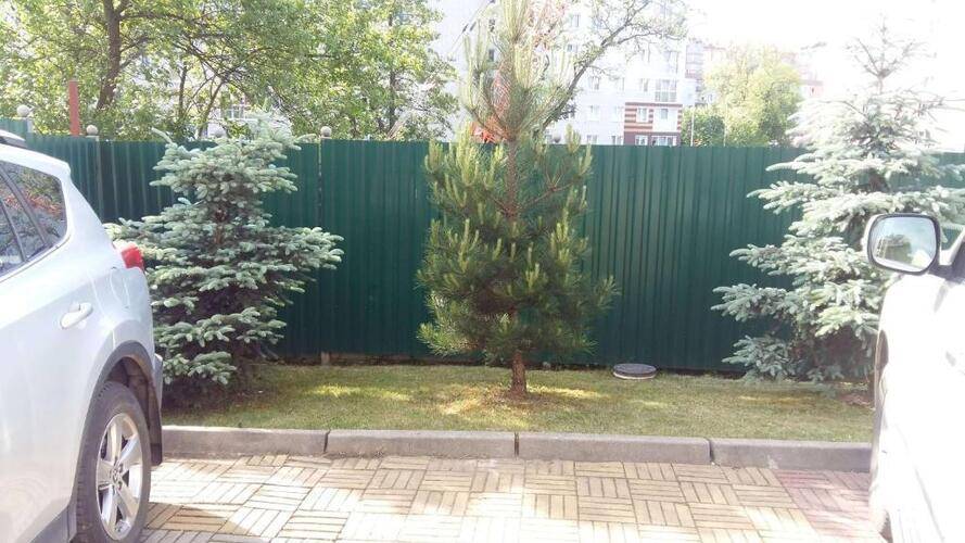 Стрелецкий Гостевой Дом