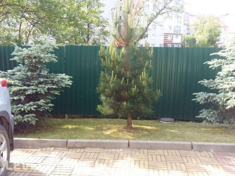 Фотография Стрелецкий Гостевой Дом