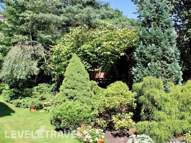 Фотография Отель Черепаха