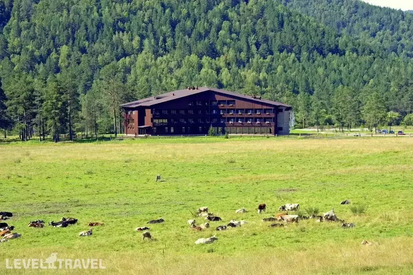 Гладенькая