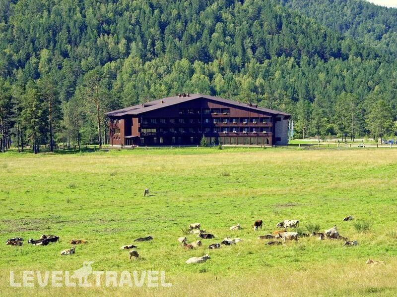 Фотография Гладенькая