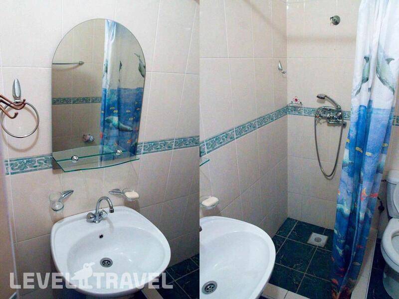 Фотография Пальмира Фотография Пальмира