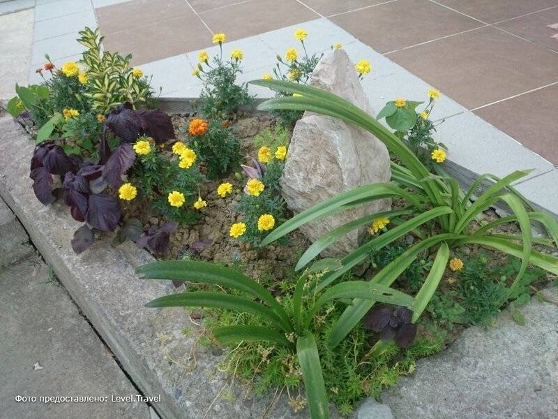 Фотография Аида Отель
