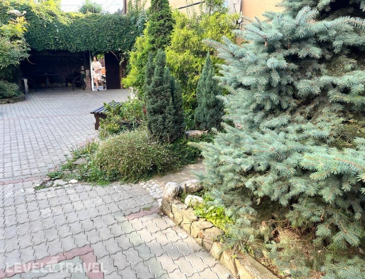 Изображение отеля 31