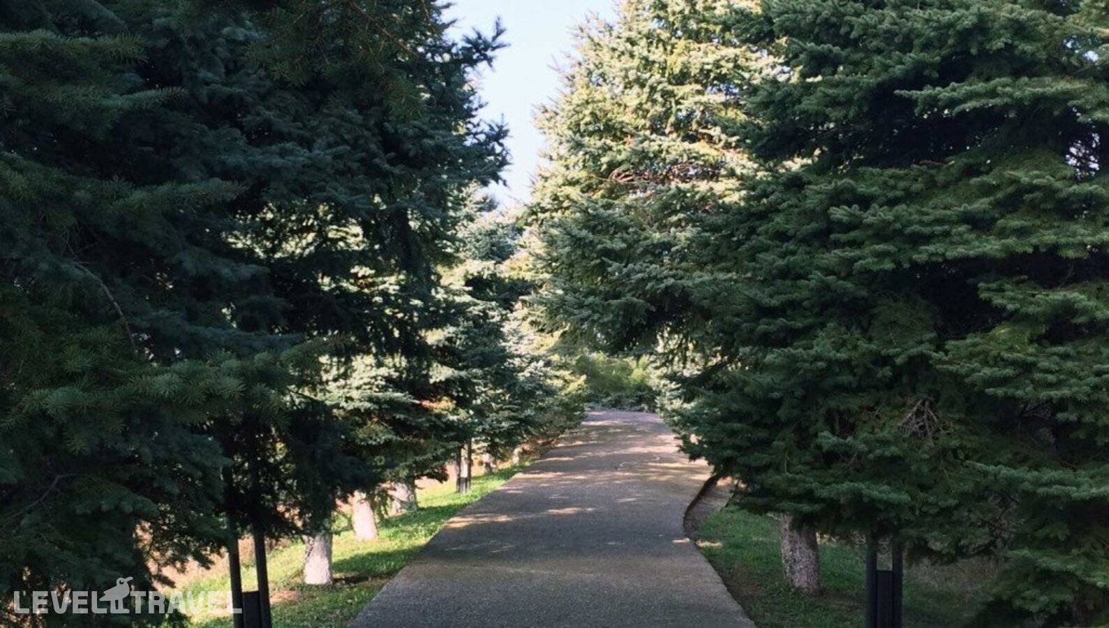 Изображение отеля 40