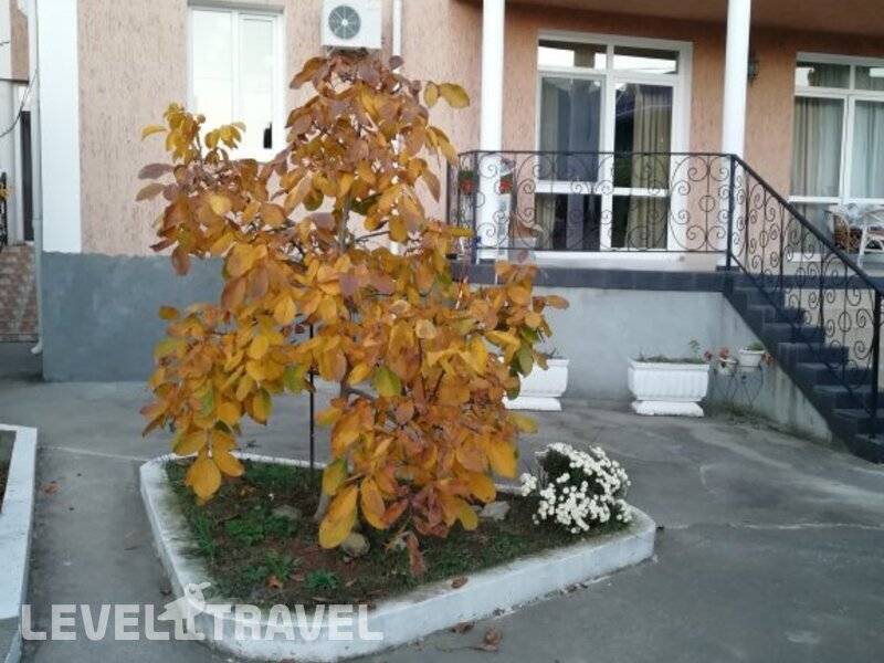 Фотография Гостевой Дом Прованс