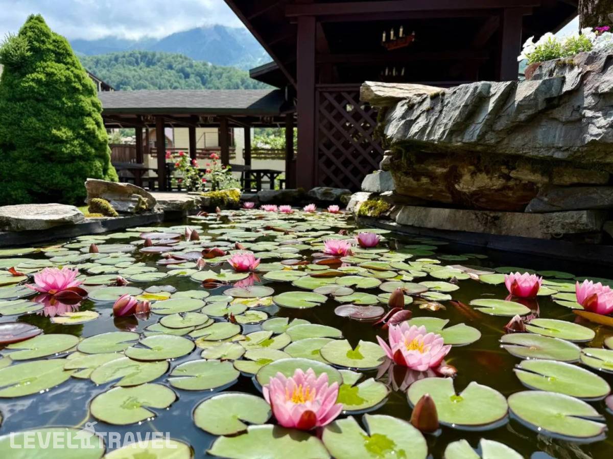 фотографии отеля Вертикаль в Россия(Эсто-Садок) - фото №14