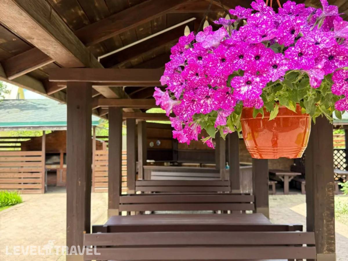 фотографии отеля Вертикаль в Россия(Эсто-Садок) - фото №21