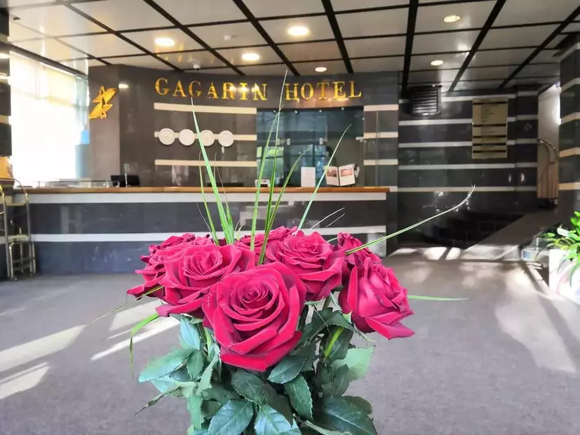 Отель Гагарин