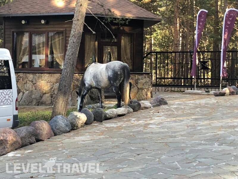 Фотография Озон 7 Вершин Отель