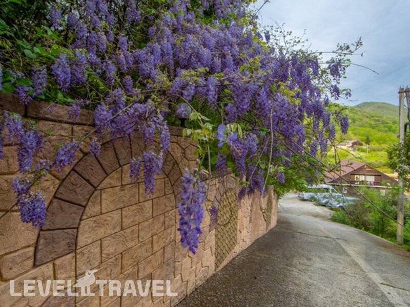 Фотография Мини-Отель Роз Мари