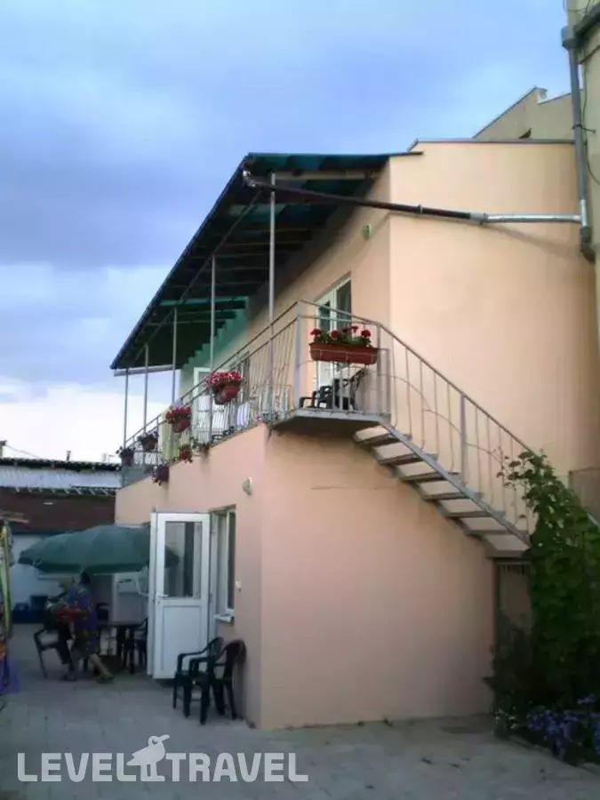 ГД Виноградная Лоза