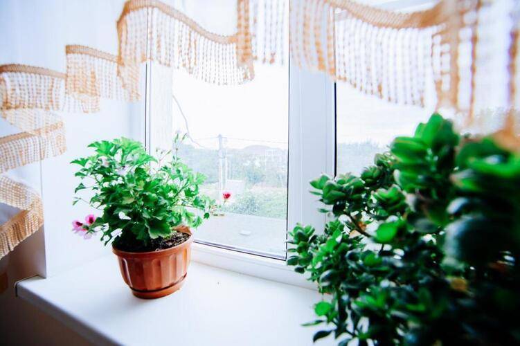 ГД Кунеш