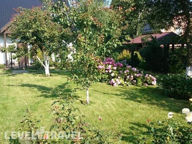 Фотография На Каштановой