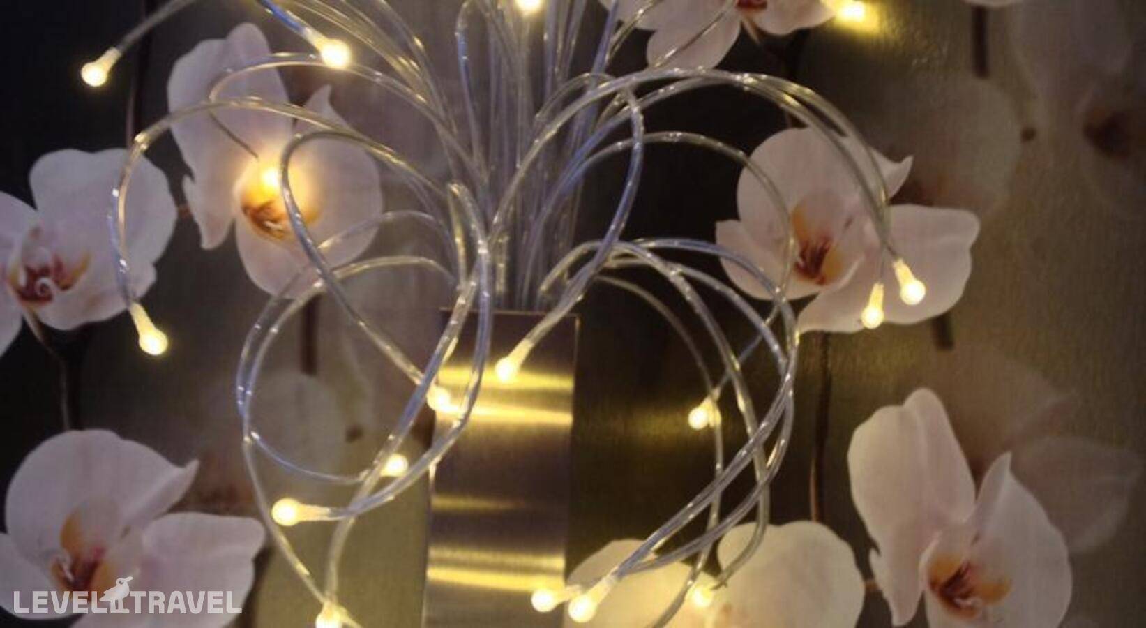 фотографии отеля Сезон в Россия(Новосибирск) - фото №11