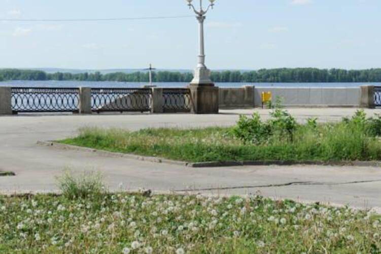 Черри