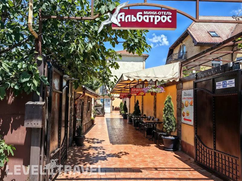 Фотография Альбатрос Фотография Альбатрос
