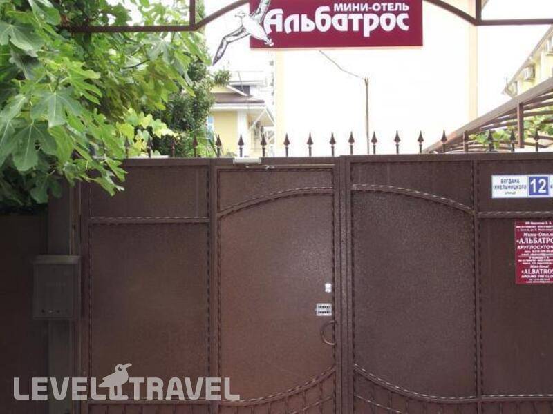 Фотография Альбатрос Фотография Альбатрос