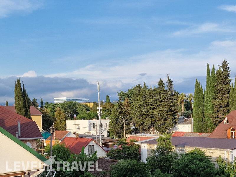 Фотография Альбатрос Фотография Альбатрос