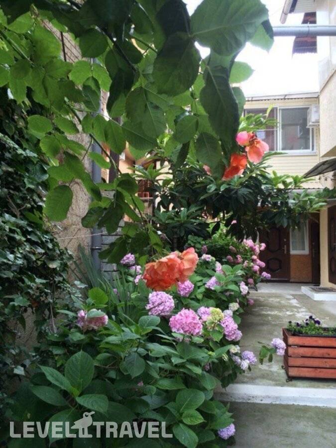 Изображение отеля 27