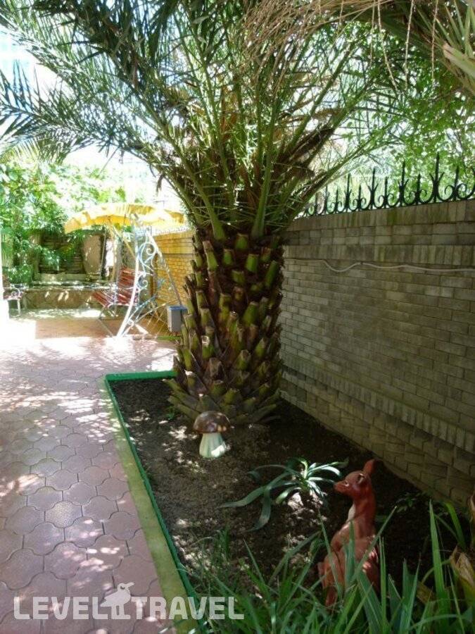 фотографии отеля ГД Райский Уголок в Россия(Курортный городок) - фото №29