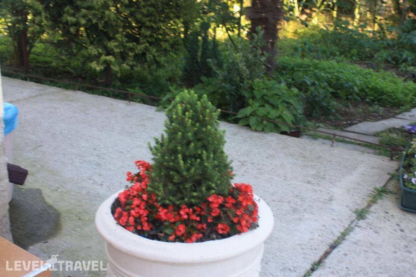 фотографии отеля Гостевой Дом Альмира в Россия(Лоо) - фото №44