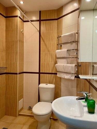 Отель Ледис