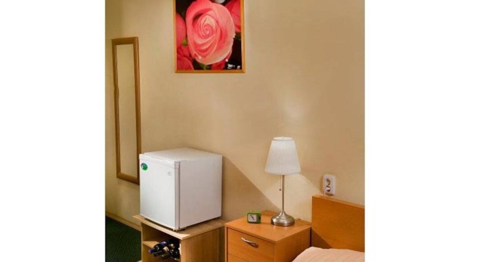 фотографии отеля Репин в Россия(Центральный район) - фото №5