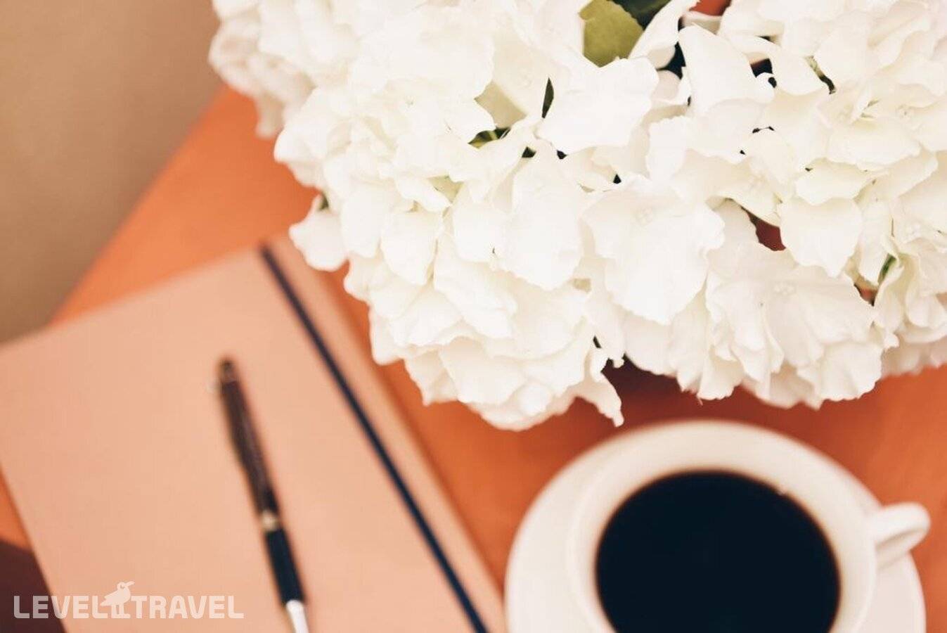 фотографии отеля Репин в Россия(Центральный район) - фото №22